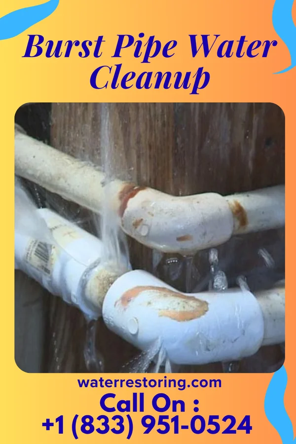Burst Pipe Water Cleanup in Jacksonwald, PA