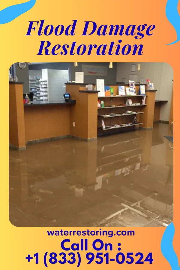 Flood Damage Restoration in Jacksonwald, PA