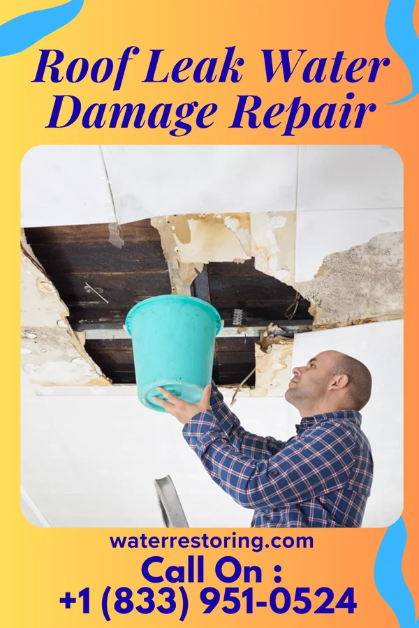 Roof Leak Water Damage Repair in Jacksonwald, PA